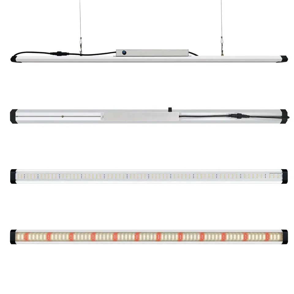 উদ্ভিদ হালকা বার বৃদ্ধি