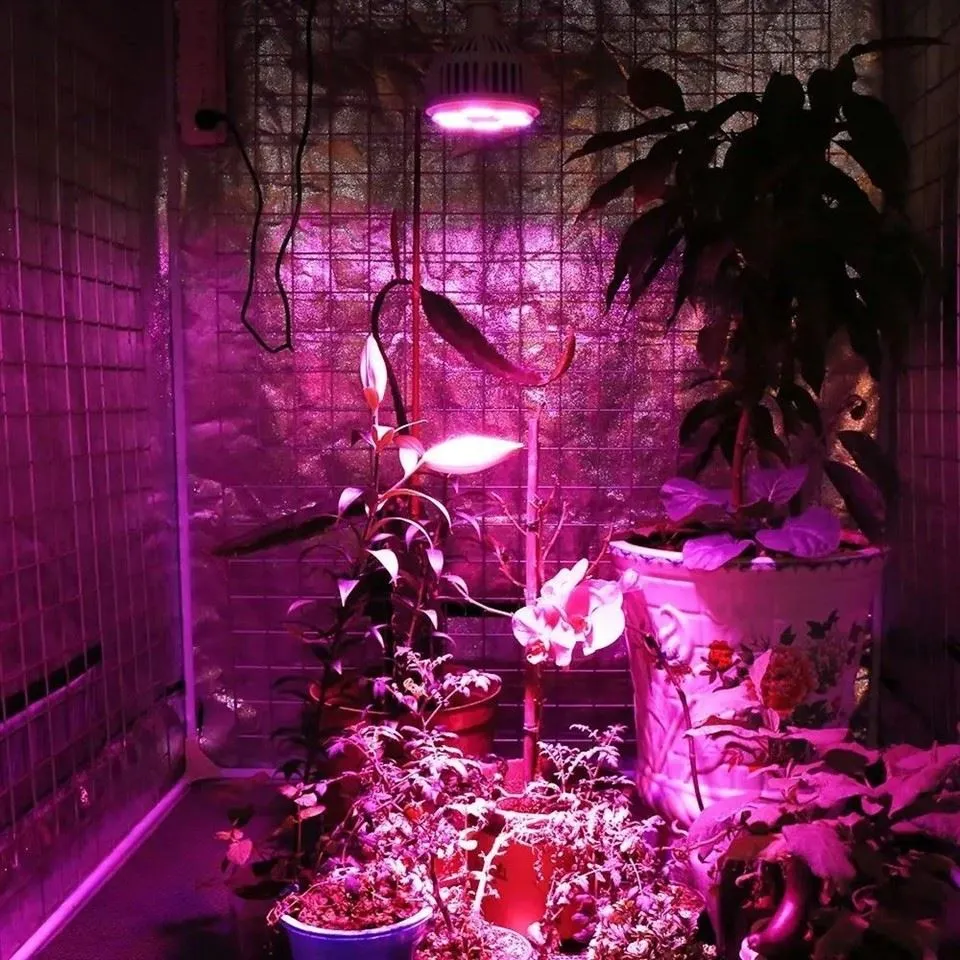 uv grow light bulb 6(001)